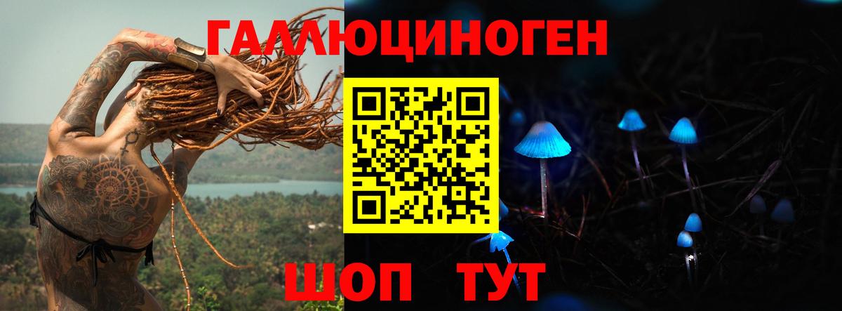 Псилоцибиновые грибы Psilocybe Тара
